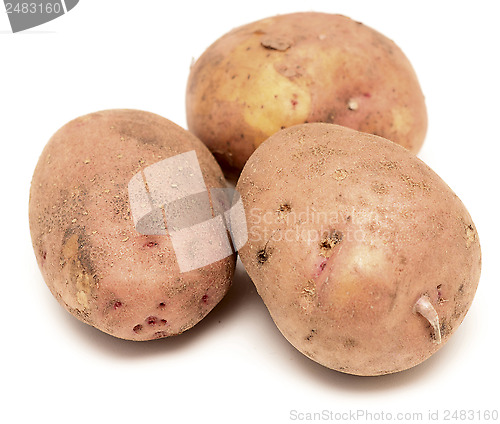 Image of raw potato