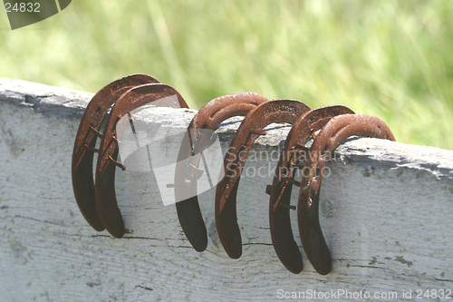 Image of six horseshoes