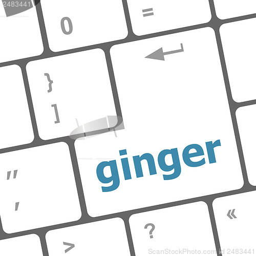 Image of ginger word on keyboard key, notebook computer button