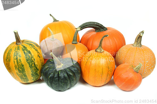 Image of Pumpkins isolated