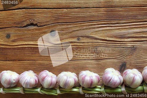 Image of Garlic