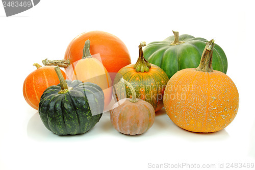 Image of Pumpkins isolated