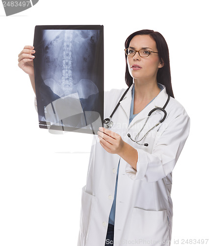 Image of Mixed Race Female Doctor or Nurse Reviewing X-ray on White