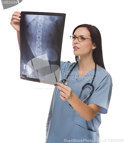 Image of Mixed Race Female Doctor or Nurse Reviewing X-ray on White