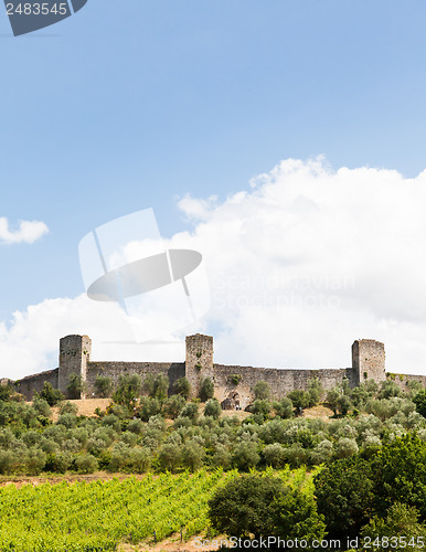 Image of Wineyard in Tuscany