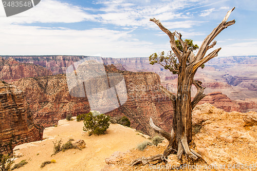 Image of Grand Canyon