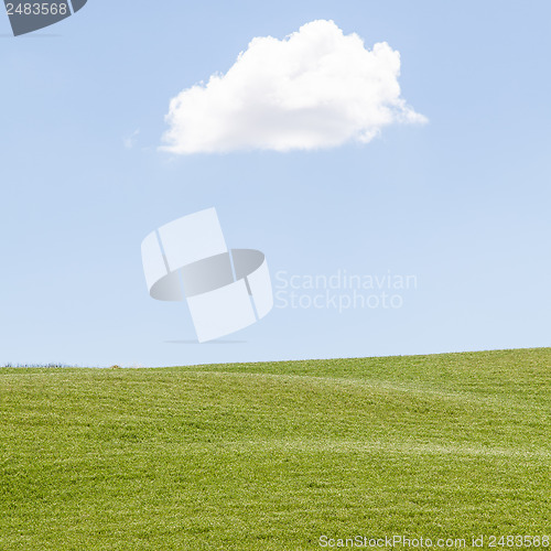 Image of Green field in Tuscany