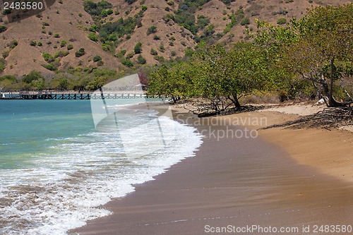 Image of Komodo Island