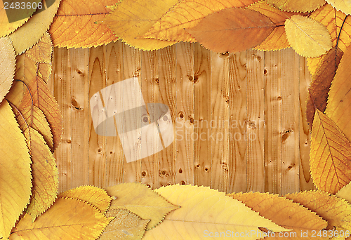 Image of autumn backdrop with cherry leaves on table