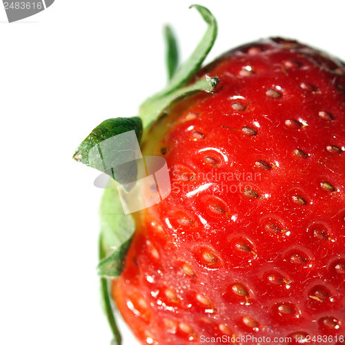 Image of Strawberry