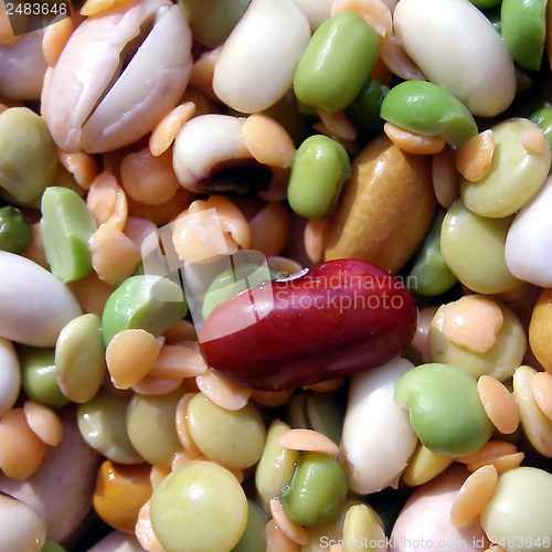 Image of Beans salad