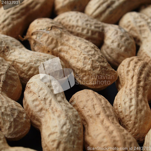 Image of Peanut picture