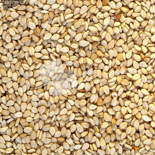 Image of Sesame seeds