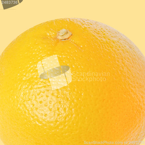 Image of Grapefruit fruit