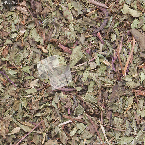 Image of Dried peppermint
