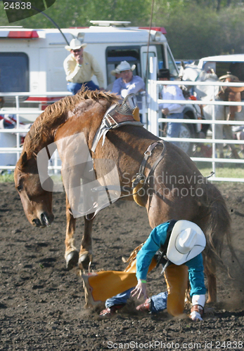 Image of bareback rider