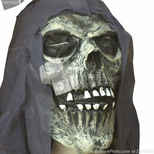 Image of Halloween skull