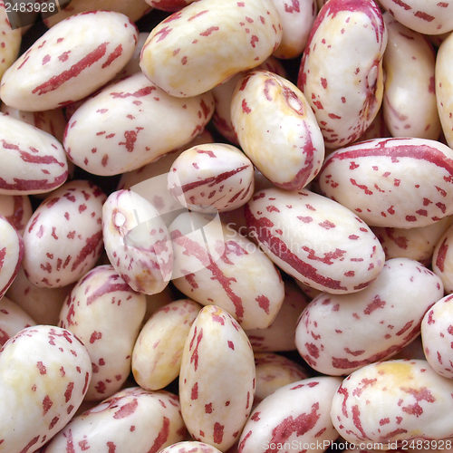 Image of Beans salad