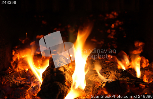 Image of Flames and ember