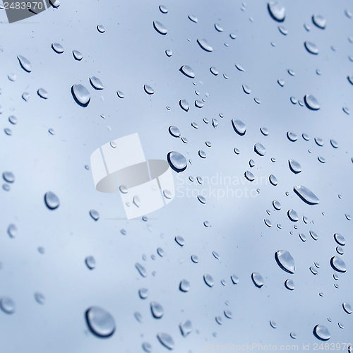 Image of Rain droplets