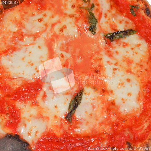 Image of Pizza Margherita