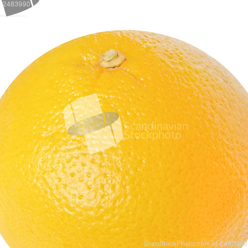 Image of Grapefruit picture