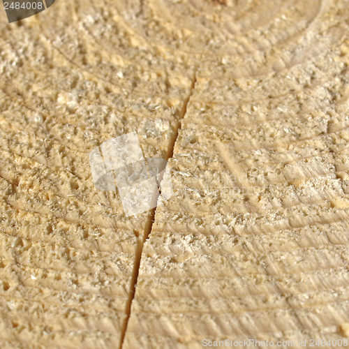 Image of Wood rings