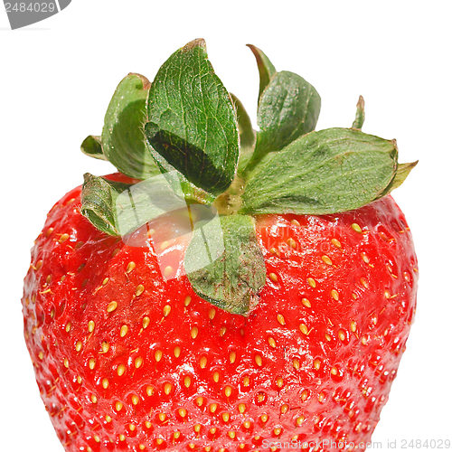 Image of Strawberries