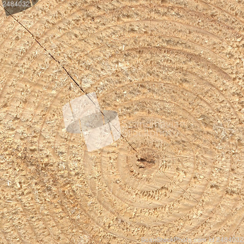 Image of Wood rings