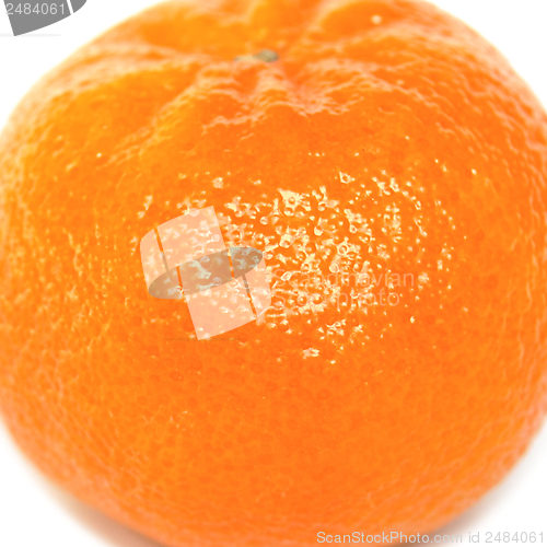 Image of Tangerine