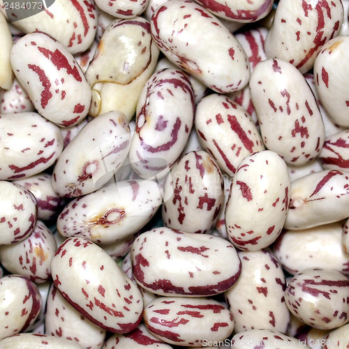 Image of Beans salad