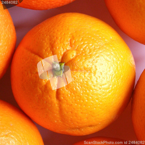 Image of Oranges picture