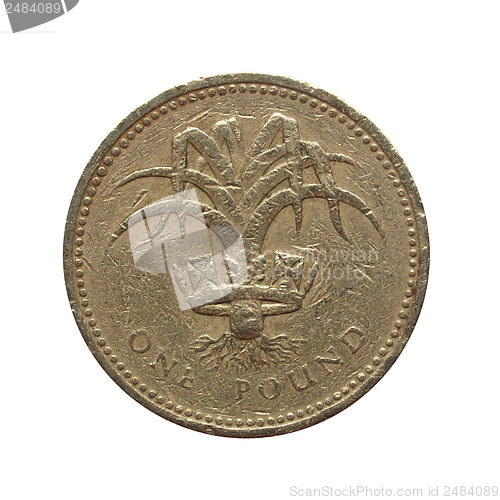 Image of Pounds