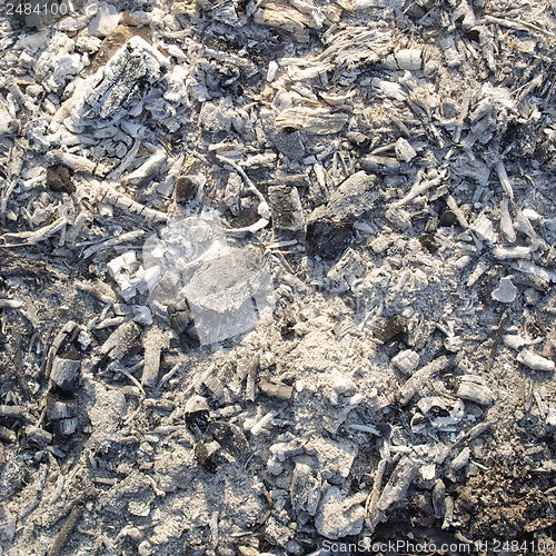 Image of Charcoal ashes