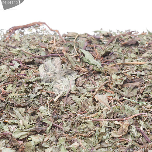 Image of Dried peppermint