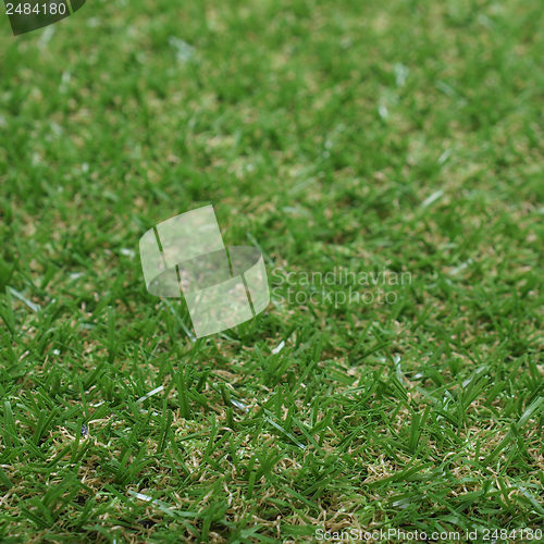 Image of Synthetic grass