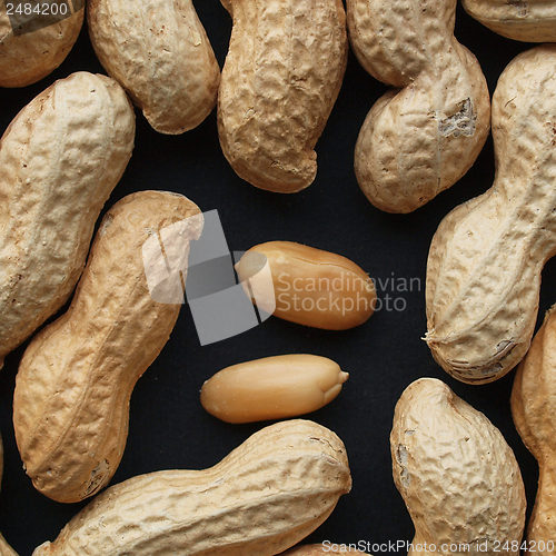 Image of Peanut picture