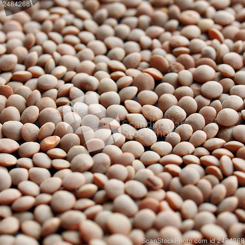 Image of Lentils