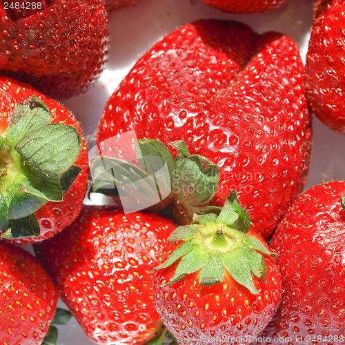 Image of Strawberries