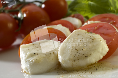 Image of mozzarella