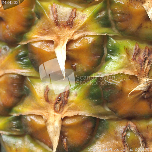 Image of Pineapple picture