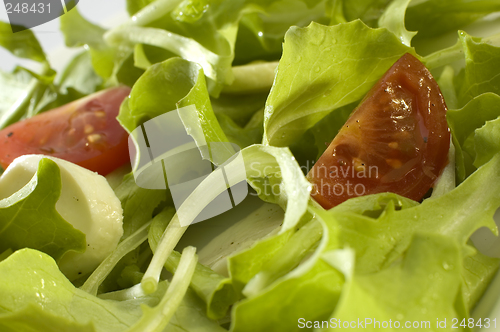 Image of salad