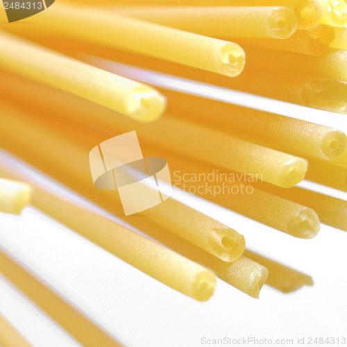 Image of Spaghetti