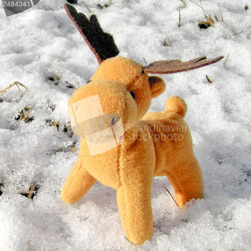 Image of Deer in snow greeting card