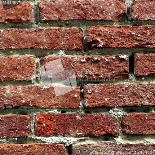 Image of Brick wall