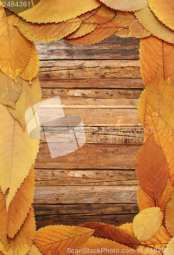 Image of beautiful thanksgiving backdrop