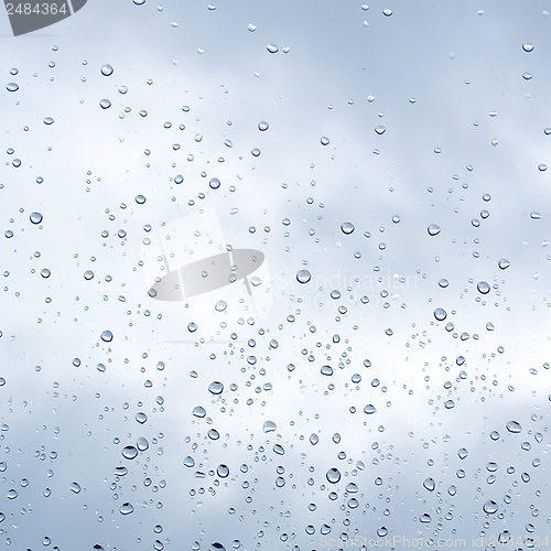 Image of Rain droplets