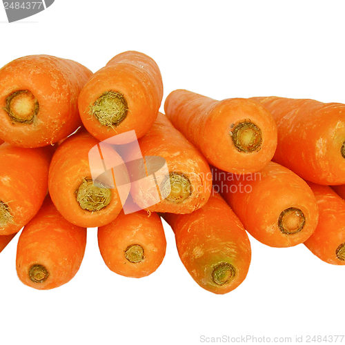 Image of Carrots