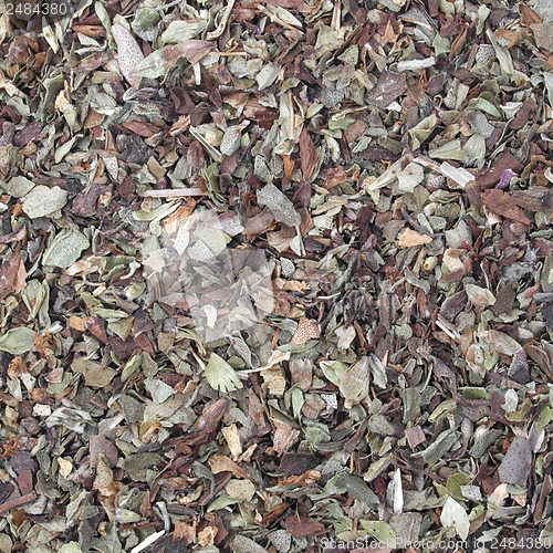 Image of Oregano spice