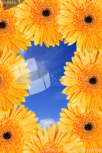 Image of Bright Daisy Frame